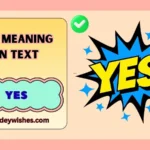 aye meaning in text