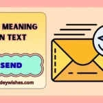 snd meaning in text