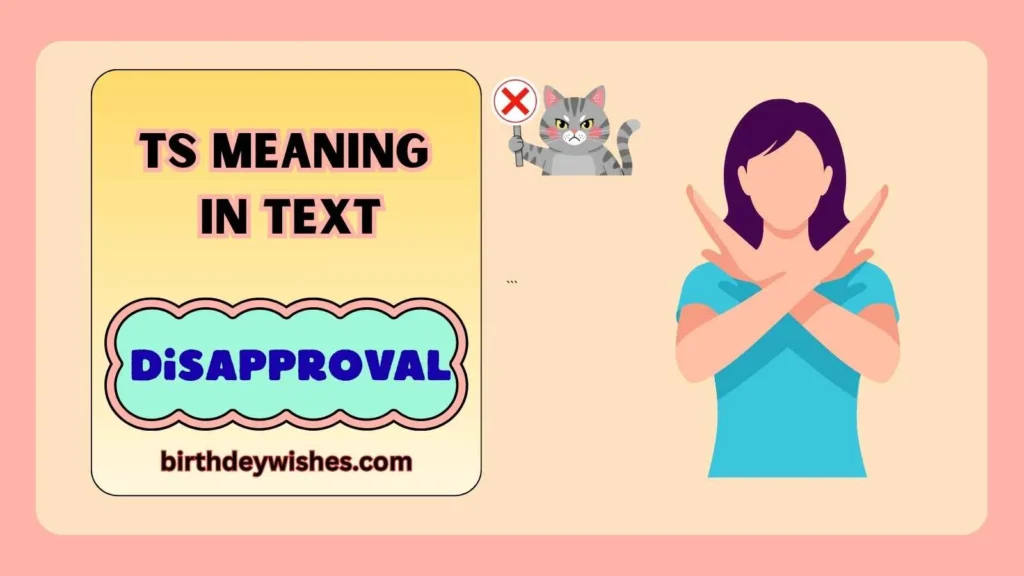 TS Meaning in Text