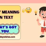 WGY Meaning in Text