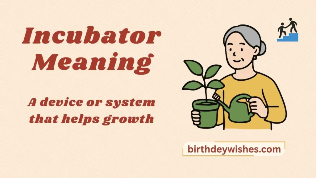 Incubator Meaning