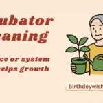 Incubator Meaning