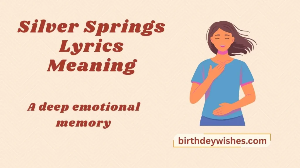 Silver Springs Lyrics Meaning