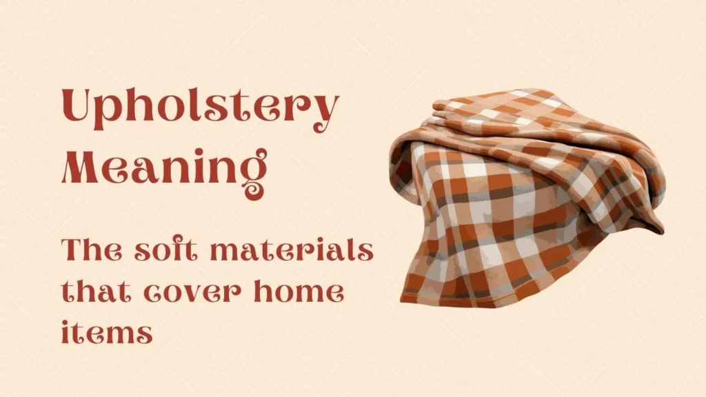 Upholstery Meaning