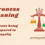 Baroness Meaning