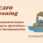 CAFO Meaning