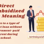 Direct Unsubsidized Loan Meaning
