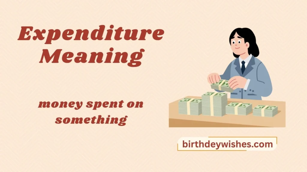 Expenditure Meaning