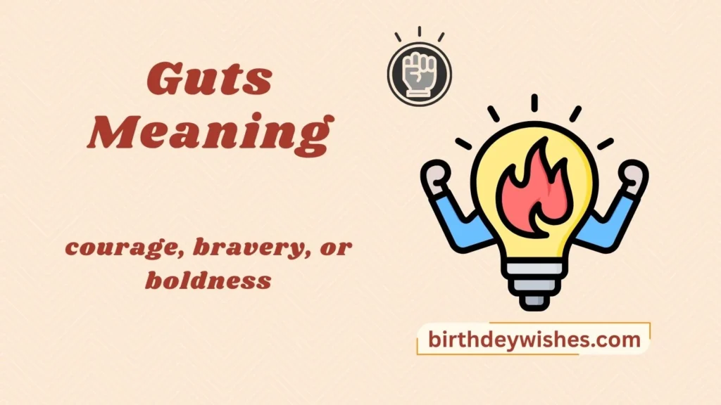 Guts Meaning