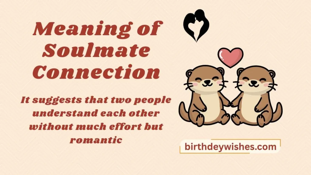 Meaning of Soulmate Connection