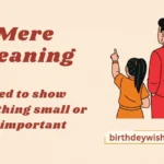 Mere Meaning