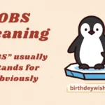 OBS Meaning