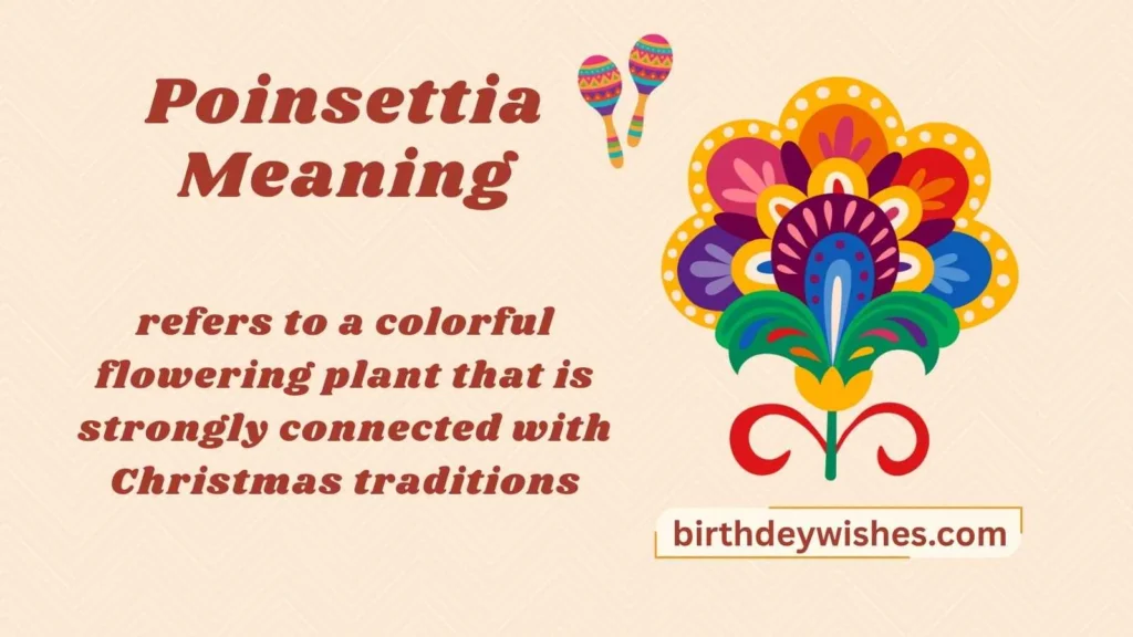 Poinsettia Meaning