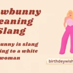 Snowbunny Meaning Slang
