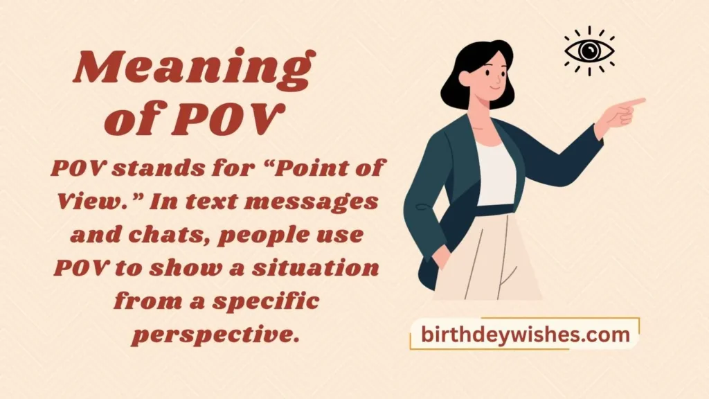 Meaning of POV